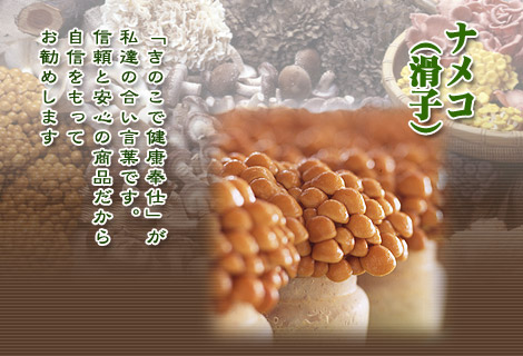 きのこ品目:ナメコ