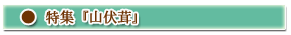 特集「山伏茸」 width=